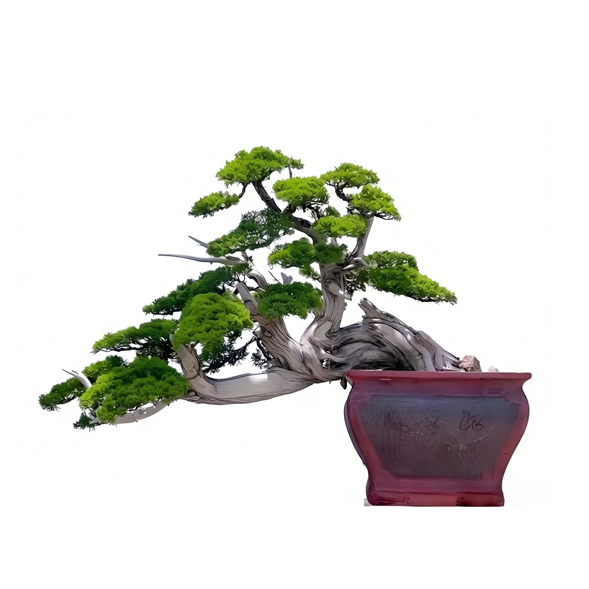Zhenbai
