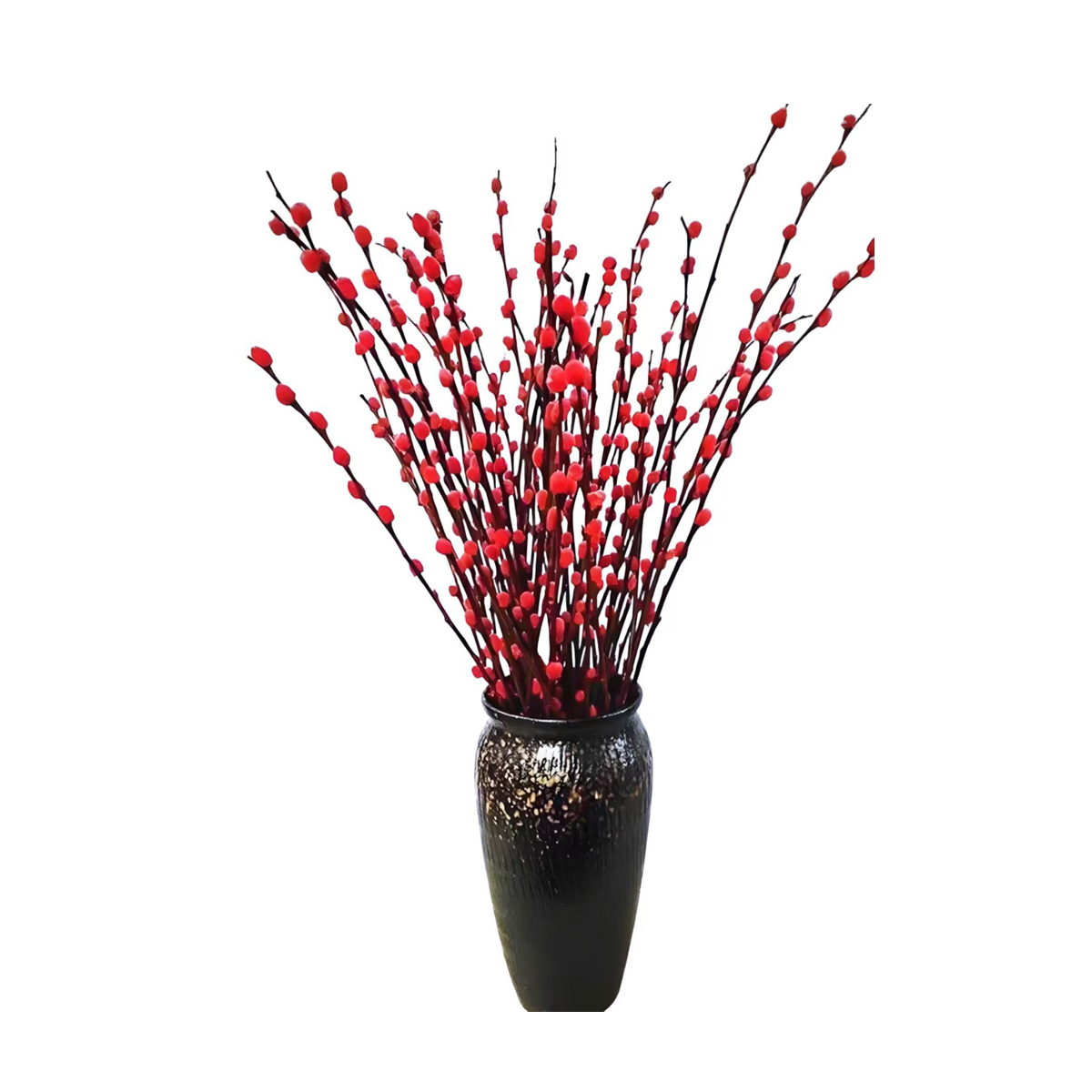 Salix argyracea E. Wolf